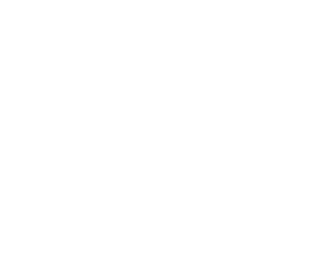 logo-nanyang-fire-white.webp